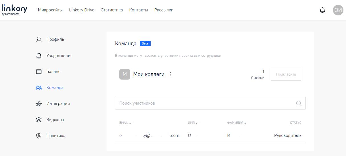 Страница с информацией о созданной команде