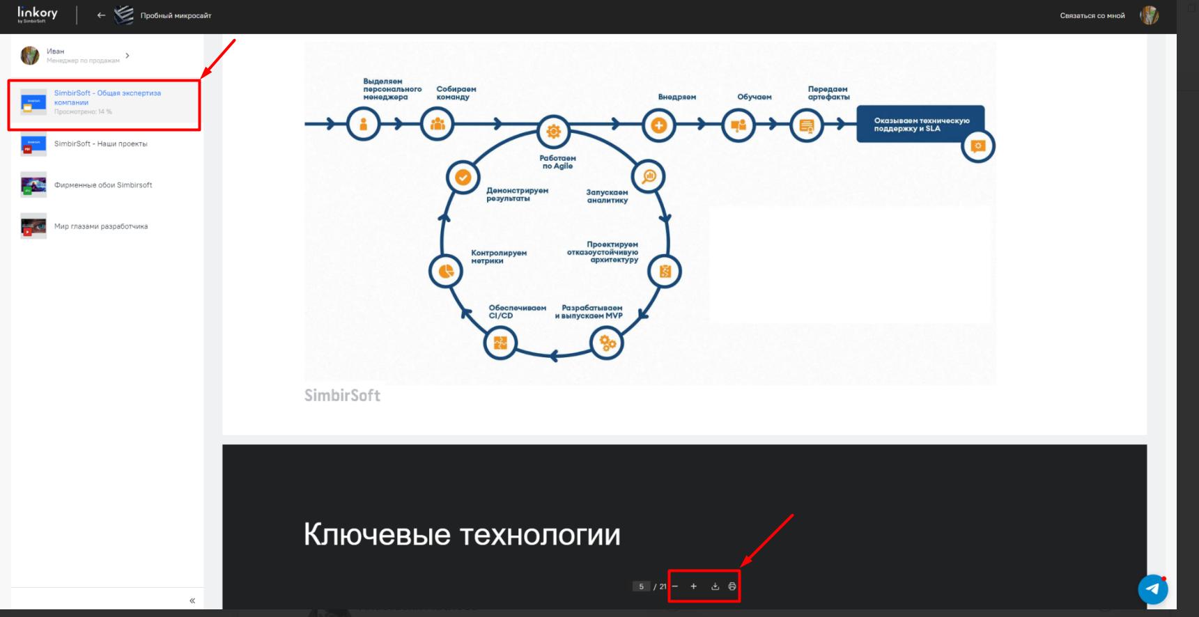 Страница детального просмотра документа клиентом (viewer)